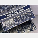 Dior CD Book Tote Bag for women Best Quality Designer bags
