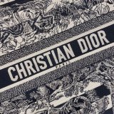 High Quality Dior Book Tote Best Quality CD Book Tote Bag