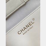 Top Quality AAA+ Best Quality AS5303 Backpack Shiny Lambskin Bag