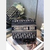 7 Star Christian Dior Cosmetic Best Quality Bags
