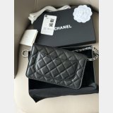 Wallet-On-Chain Best Quality AAA+ AP20253 Woc Purses