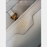 Capucines Best Quality Louis Vuitton Designer Discreet Best M22876 Bag