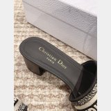 Best Quality Designer Dior Dway One-word embroidered slippers Shoes Online