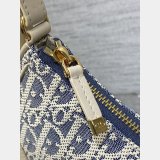 Dior 30 Montaigne Cigale Chain 7 Star 5867 Best Quality Bag