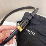 This belt bag celine Luxury Goods Dolabuy
