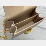 Dior 1:1 Mirror 3112 Anage Chain Handle Best Quality Bag