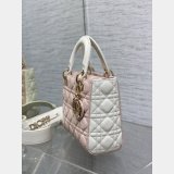Perfect Quality Best Quality Christian Lady Dior 17/20cm Bags