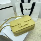 1:1 Best Quality Celine Triomphe Teen Luxury Handbag