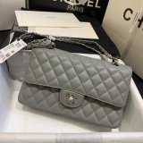 Fashion Best 2.55cm Best Quality Caviar Gold/Silver Bags