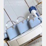 Capucines Best Quality Louis Vuitton Designer Discreet Best M22876 Bag
