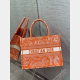 Best Quality Christian Dior Best CD Book Tote Bag