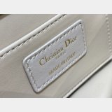 Dior 1:1 Mirror 3112 Anage Chain Handle Best Quality Bag