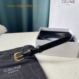 Best Quality Celine Inspired 18/25MM Top Quality Belt