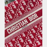 Best Quality Christian Dior CD Book Tote Reveal and Bag of the Week
