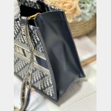 Shop D-Stripes 1286 Bayadere Dior Book Tote Best Quality Bags