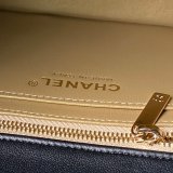 Cruise 2025/26 Mini Flap AS5756 Designer 1:1 Bag