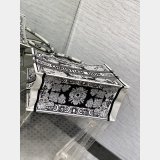Best Quality CD Book Tote Dior Designer Tote for Sale