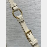 Dior 30 Montaigne Cigale Chain 7 Star 5867 Best Quality Bag