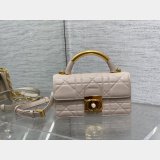 Dior 1:1 Mirror 3112 Anage Chain Handle Best Quality Bag