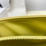 1:1 Best Quality Celine Triomphe Teen Luxury Handbag