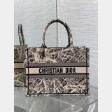 Christian Dior CD Book Tote Top Quality Best Quality Bags