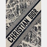 Christian Dior CD Book Tote Top Quality Best Quality Bags
