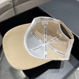 Wholesale Dior Best Quality AAA+ Hats Caps Outlet