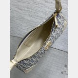 Dior 30 Montaigne Cigale Chain 7 Star 5867 Best Quality Bag