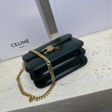 Designer Teen Triomphe Shiny 113583 Amazone Celine Best Quality Bag