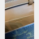 Best Quality 101512 Triomphe Celine Online Crossbody Sale