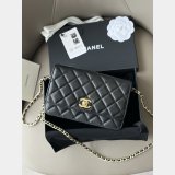 Wallet-On-Chain Best Quality AAA+ AP20253 Woc Purses