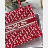 Best Quality Christian Dior CD Book Tote Reveal and Bag of the Week