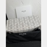 Designer Celine Best Quality Cabas Thais 196762 Large Striped Textile Bag