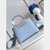 Capucines Best Quality Louis Vuitton Designer Discreet Best M22876 Bag
