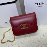Designer Teen Triomphe Shiny 113583 Amazone Celine Best Quality Bag