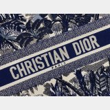 Dior CD Book Tote Bag for women Best Quality Designer bags