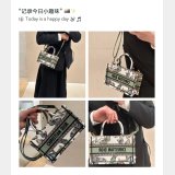Designer Best Quality Dior Book Tote 1286/9024 Wholesale Paris Oblique Bag