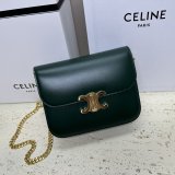 Designer Teen Triomphe Shiny 113583 Amazone Celine Best Quality Bag
