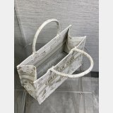 The Best Ways to Buy Dior Best Quality CD Book Tote Bags