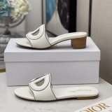 Designer Best Quality Shoes Christian Dior D-Club