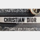 Exquisite Lady Dior 24cm Best Quality - Unmatched Elegance & Craftsmanship