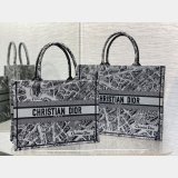 AAA Quality Best Quality Christian Dior CD Book Tote Bag For Sale