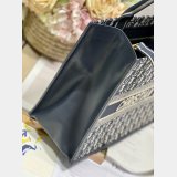 Shop D-Stripes 1286 Bayadere Dior Book Tote Best Quality Bags