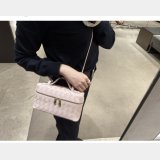 BOTTEGA VENETA Vanity Case 789109