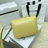 1:1 Best Quality Celine Triomphe Teen Luxury Handbag