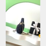 Best 1:1 AP4386 Hobo / AP4385 Vanity / AS1116 Mini CF / AP4986 Clutch Bag