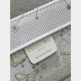 The Best Ways to Buy Dior Best Quality CD Book Tote Bags