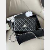 Wallet-On-Chain Best Quality AAA+ AP20253 Woc Purses