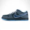NK SB Dunk Low Concepts Blue Lobster